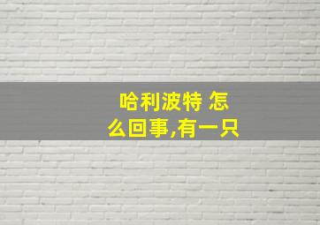 哈利波特 怎么回事,有一只